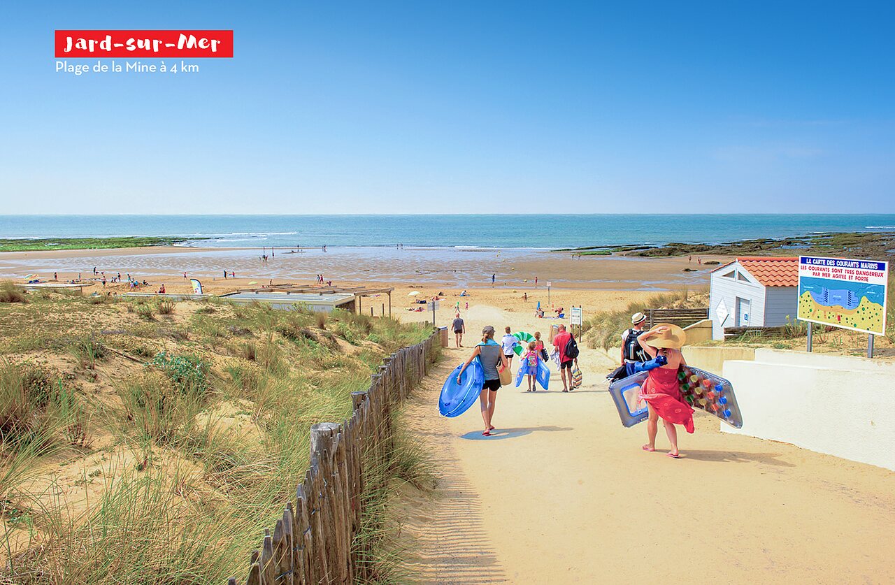 Allées ombragées du Camping Curty's