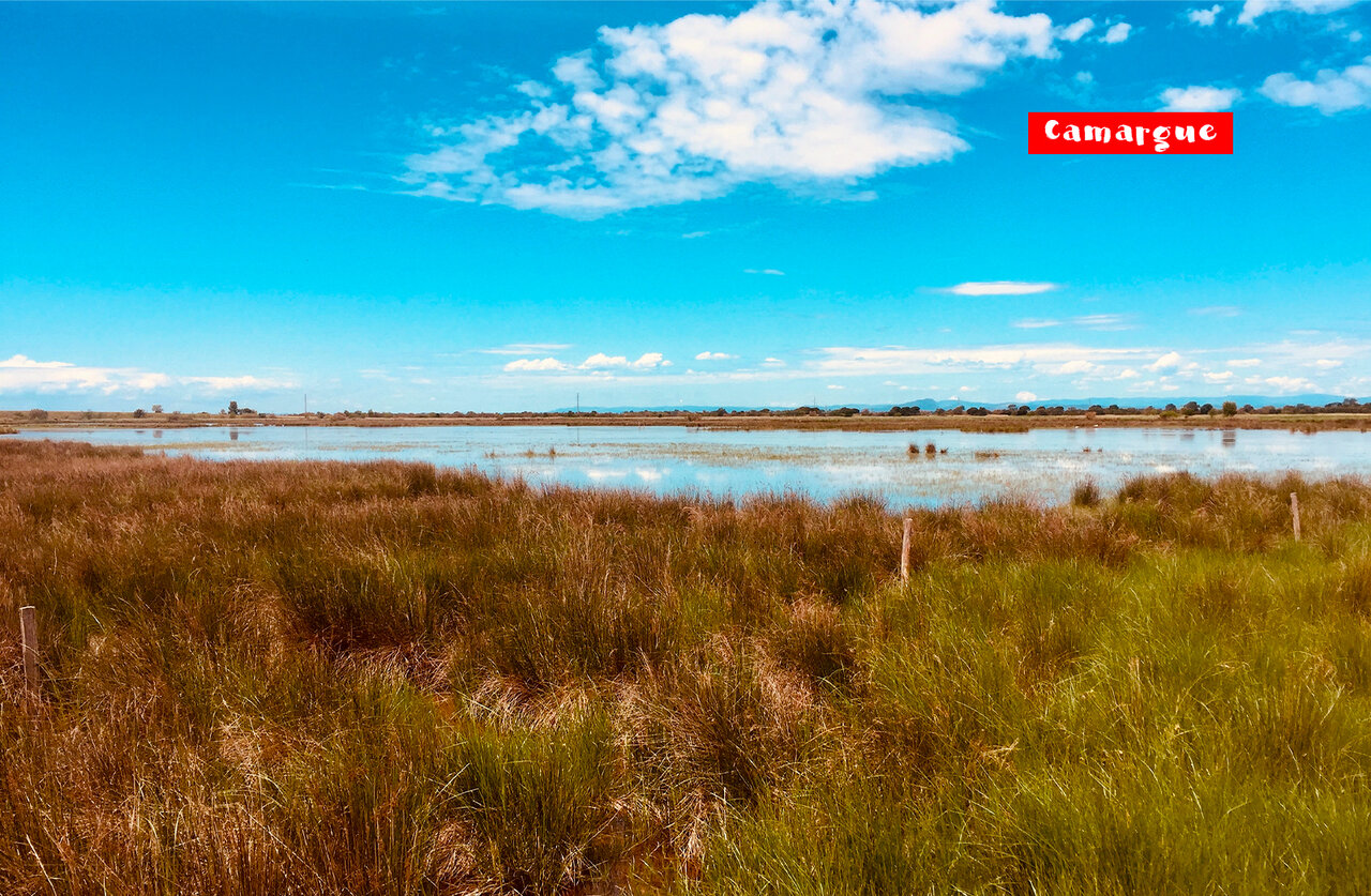 Piscine couverte chauffée du Camping Fleur de Camargue