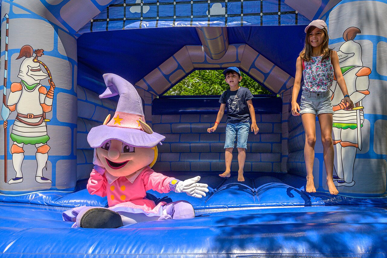 Vue d'ensemble du Camping L'Hermitage