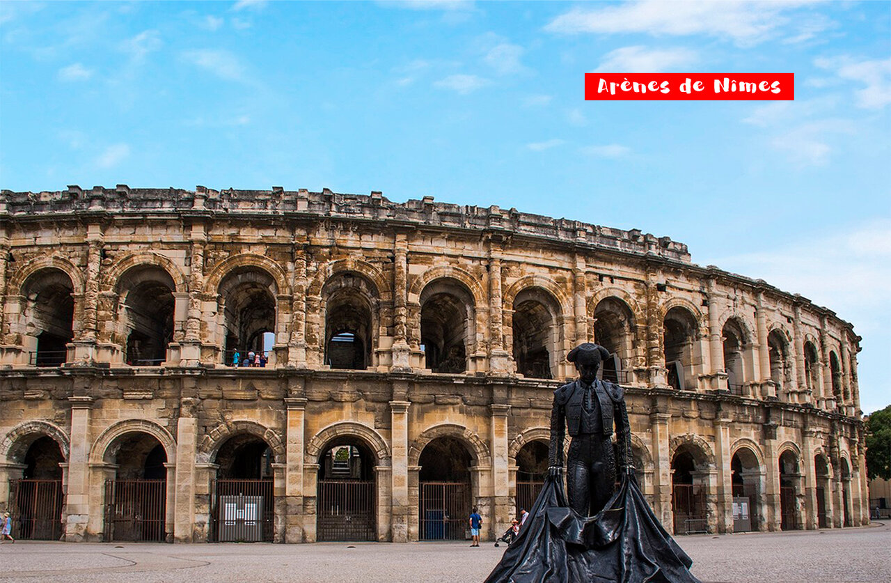 Allées ombragées du Camping Fleur de Camargue