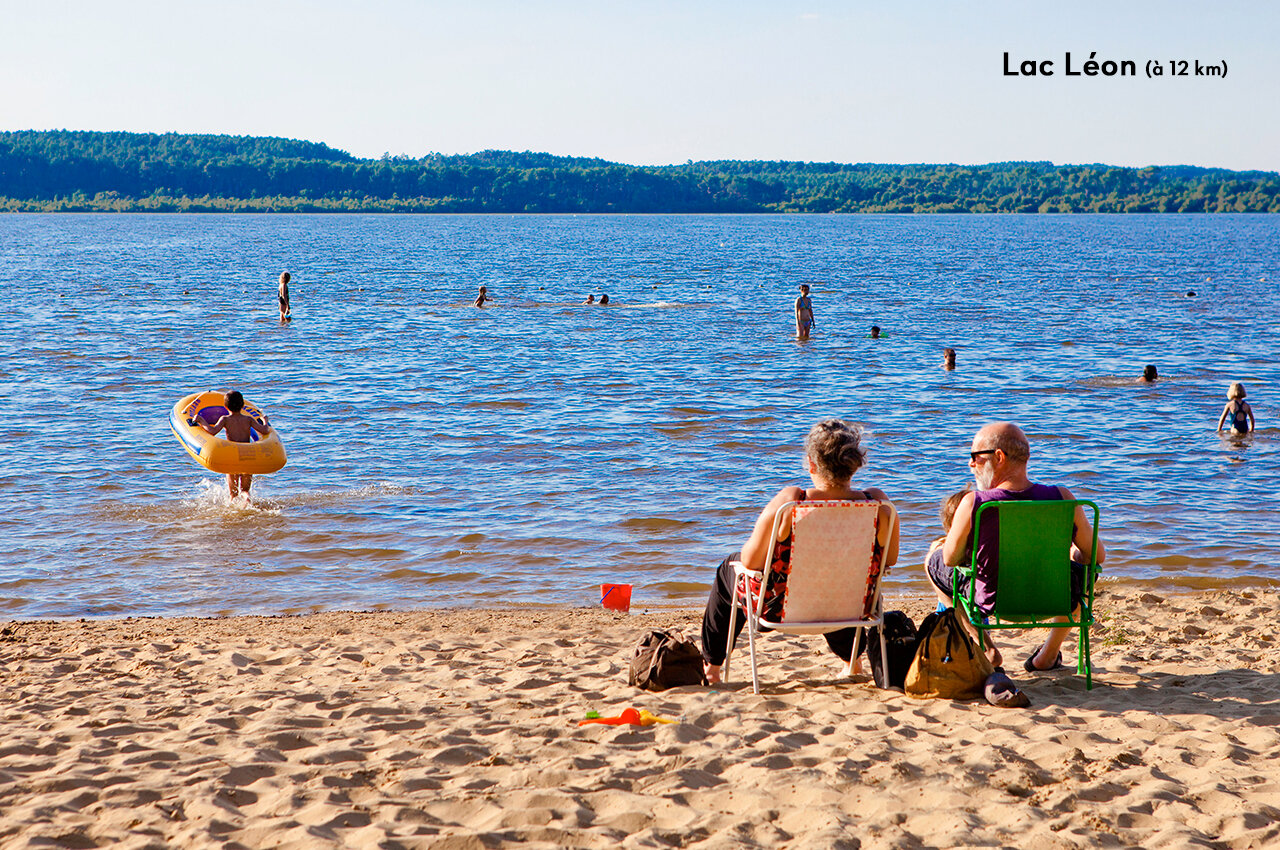 Forêt landaise au Camping Lila