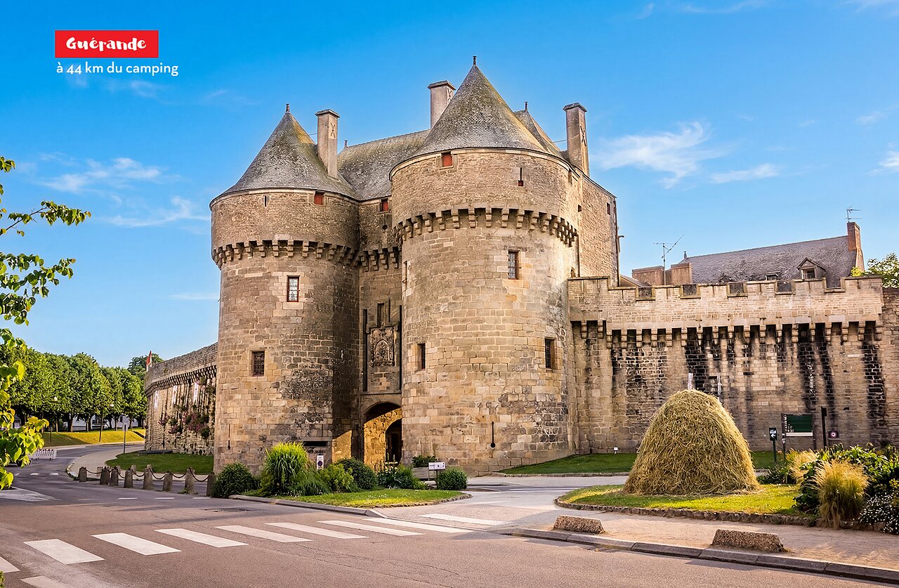 Emplacements du Camping La Chênaie