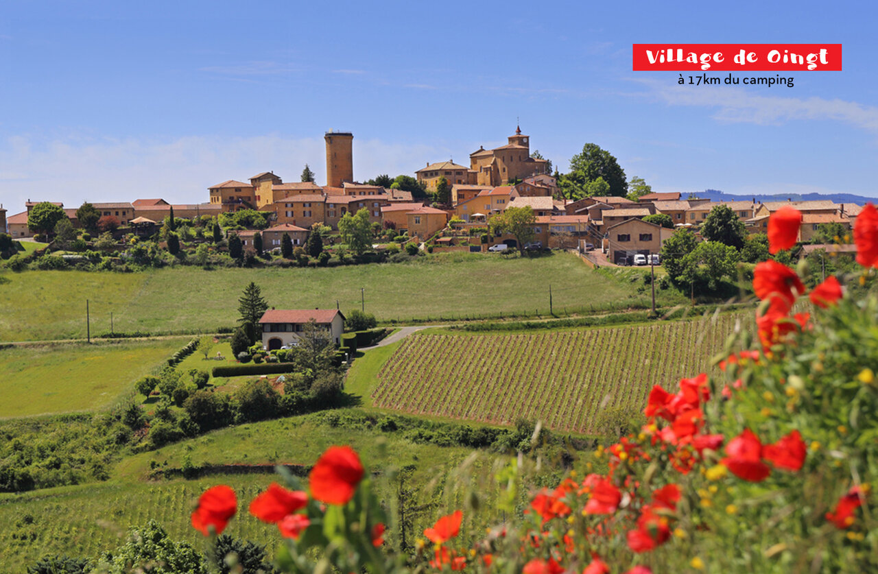 Vue d'ensemble du Camping Les Portes du Beaujolais