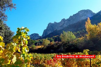Dentelles de Montmirail, paysage rocheux et vignobles colorés près de Vaison-la-Romaine.