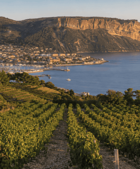 Visiter Cassis hors clichés