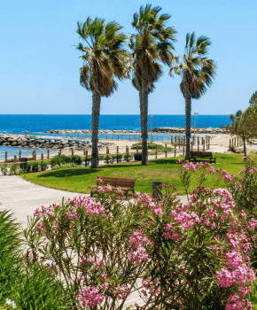 Que faire à Fréjus ?