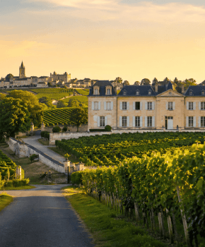 Route des vins Bordeaux