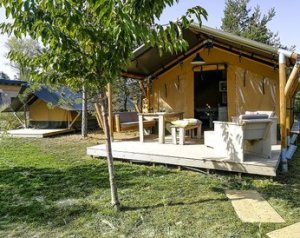 Lodge Premium
